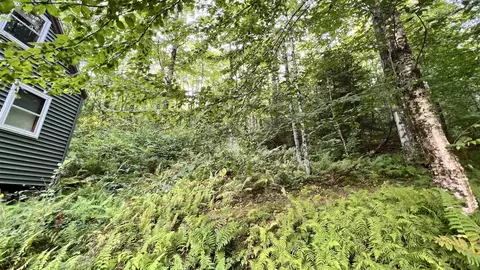 2075 Codding Hollow Rd, Johnson, VT 05656 photo 34