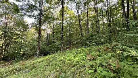 2075 Codding Hollow Rd, Johnson, VT 05656 photo 44