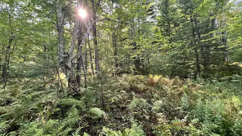 2075 Codding Hollow Rd, Johnson, VT 05656 photo 55