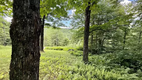 2075 Codding Hollow Rd, Johnson, VT 05656 photo 9