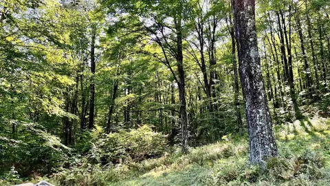 2075 Codding Hollow Rd, Johnson, VT 05656 photo 48