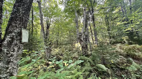 2075 Codding Hollow Rd, Johnson, VT 05656 photo 52