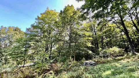 2075 Codding Hollow Rd, Johnson, VT 05656 photo 43