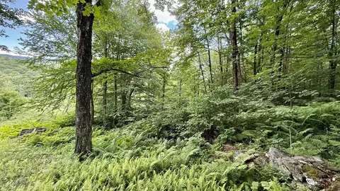 2075 Codding Hollow Rd, Johnson, VT 05656 photo 10