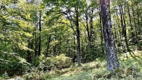 2075 Codding Hollow Rd, Johnson, VT 05656 photo 47
