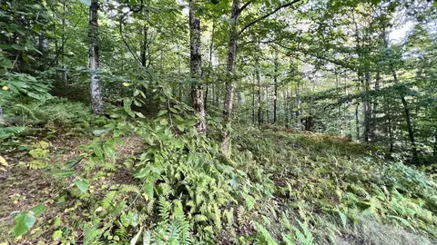 2075 Codding Hollow Rd, Johnson, VT 05656 photo 45