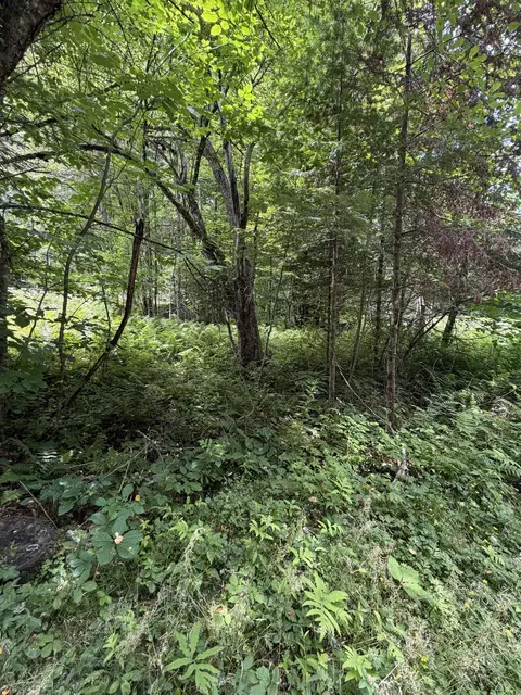100 Ledge Rd, Lisbon, NH 03585 photo 4