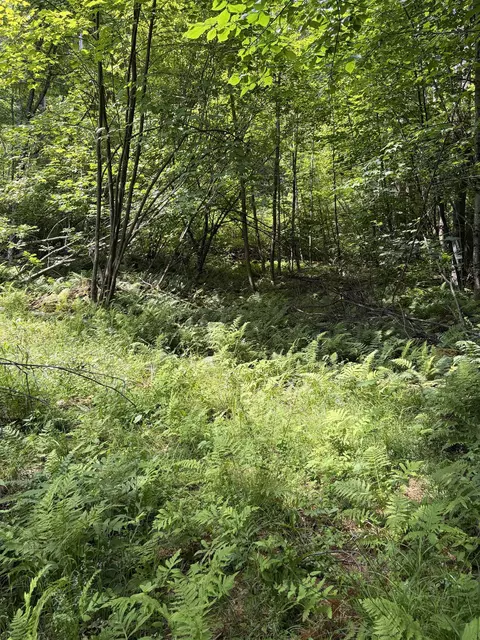 100 Ledge Rd, Lisbon, NH 03585 photo 5