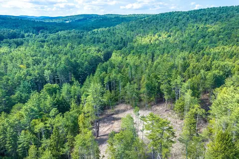 40 E Putney Brook Rd, Putney, VT 05346 photo 13