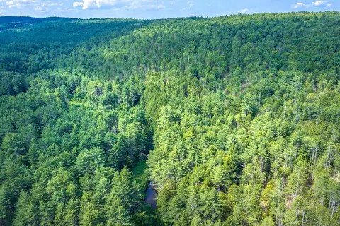 40 E Putney Brook Rd, Putney, VT 05346 photo 15