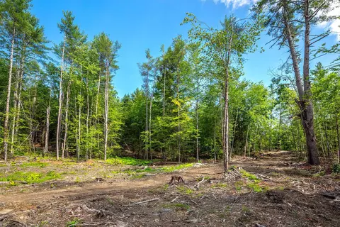 40 E Putney Brook Rd, Putney, VT 05346 photo 7