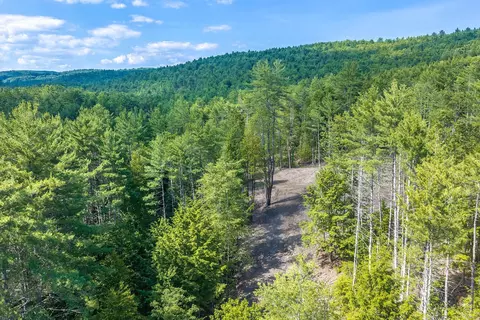 40 E Putney Brook Rd, Putney, VT 05346 photo 10