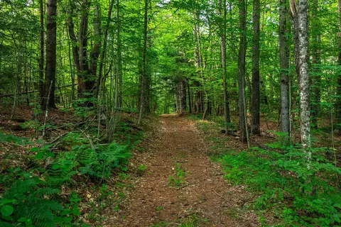 40 E Putney Brook Rd, Putney, VT 05346 photo 11