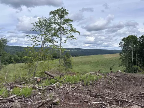 0 Davis Acres Rd, Brookfield, VT 05060