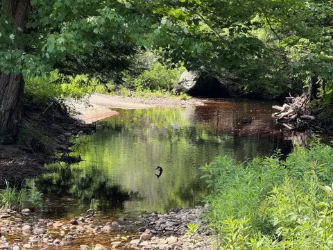 View/Area - 446 Walker Brook Rd, Danbury, NH 03230 photo 1 of 2