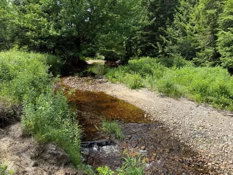 Other - 446 Walker Brook Rd, Danbury, NH 03230 photo 12 of 15