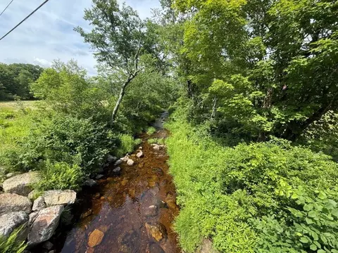View/Area - 446 Walker Brook Rd, Danbury, NH 03230 photo 2 of 2
