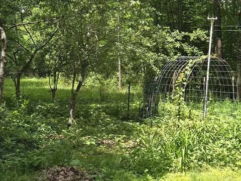 208 Nh Route 3a, Hill, NH 03243