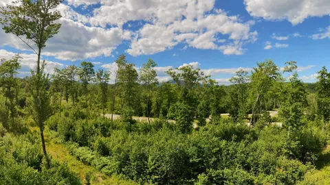 lot7 Whipples Way, Tamworth, NH 03817