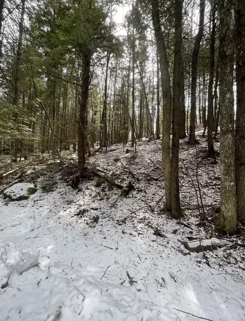 000 Hinkley Brook Rd, Grafton, VT 05146