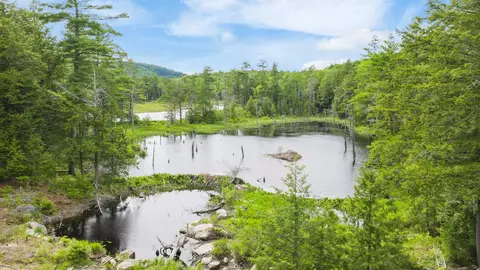 00 Pine Point Rd, New Durham, NH 03855