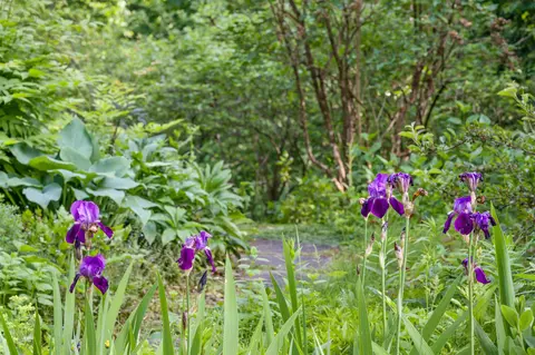 Other - 254 Macey Rd, Worcester, VT 05682 photo 1 of 6
