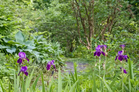 Other - 254 Macey Rd, Worcester, VT 05682 photo 1 of 5