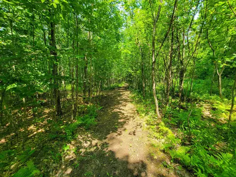21 Nickerson Rd, Brandon, VT 05733 photo 15