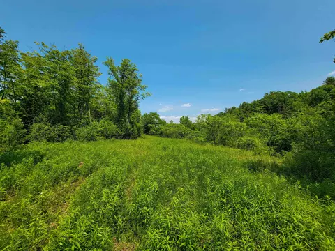 21 Nickerson Rd, Brandon, VT 05733 photo 24