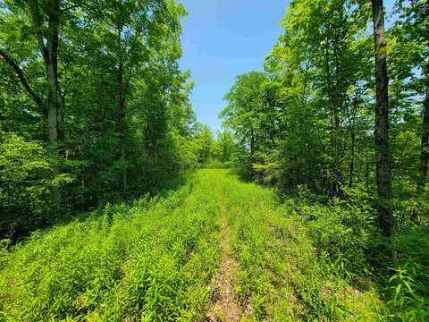 21 Nickerson Rd, Brandon, VT 05733 photo 23