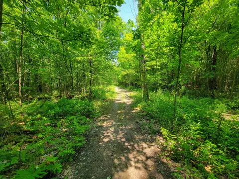 21 Nickerson Rd, Brandon, VT 05733 photo 16