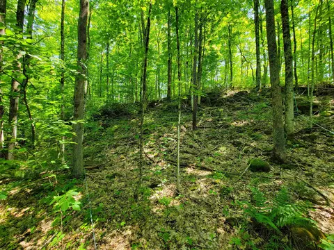 21 Nickerson Rd, Brandon, VT 05733 photo 18