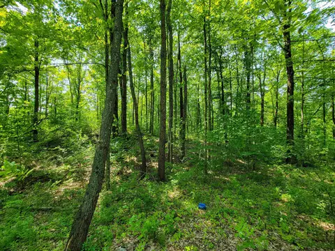 21 Nickerson Rd, Brandon, VT 05733 photo 34