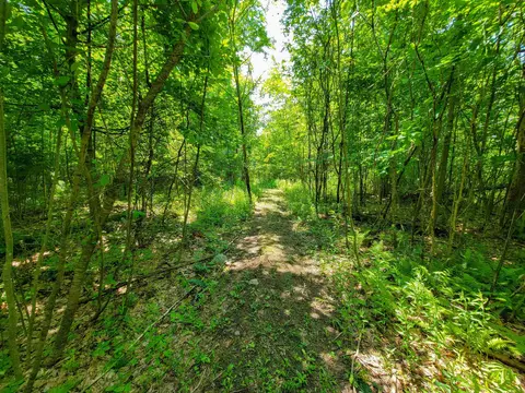 21 Nickerson Rd, Brandon, VT 05733 photo 17