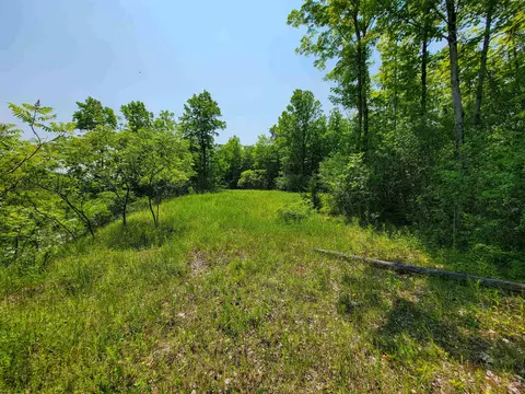 21 Nickerson Rd, Brandon, VT 05733 photo 26