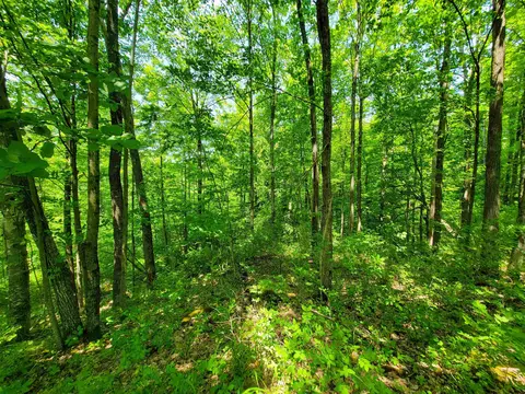 21 Nickerson Rd, Brandon, VT 05733 photo 21