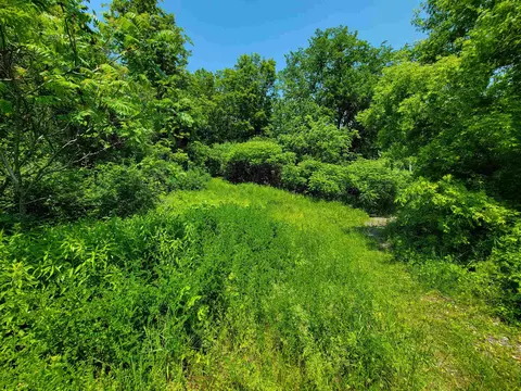 21 Nickerson Rd, Brandon, VT 05733 photo 35