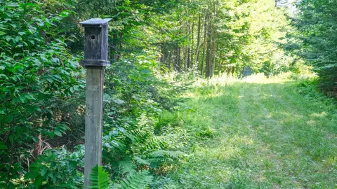 0 Berry Patch Ln, Ludlow, VT 05149 photo 2