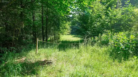 0 Berry Patch Ln, Ludlow, VT 05149 photo 3