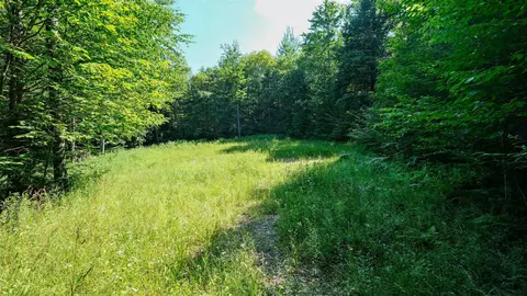 0 Berry Patch Ln, Ludlow, VT 05149 photo 6