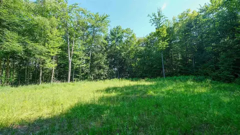 0 Berry Patch Ln, Ludlow, VT 05149 photo 5