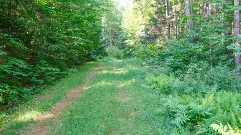 0 Berry Patch Ln, Ludlow, VT 05149 photo 9