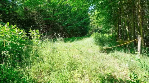 0 Berry Patch Ln, Ludlow, VT 05149 photo 19