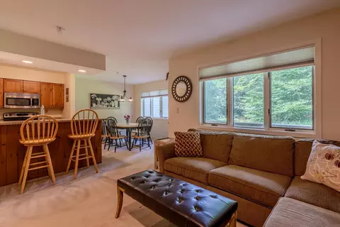 Living - 65 E Birch Rd #43, Stratton, VT 05155 photo 4 of 4