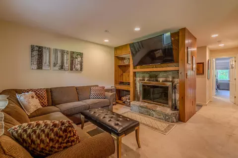 Living - 65 E Birch Rd #43, Stratton, VT 05155 photo 2 of 4