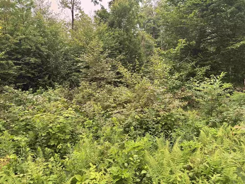 185 Valley View Rd, Dover, VT 05356 photo 8