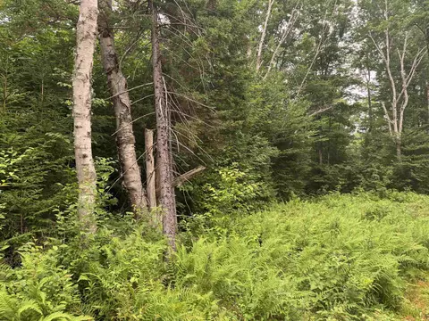 185 Valley View Rd, Dover, VT 05356 photo 21