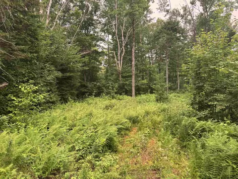 185 Valley View Rd, Dover, VT 05356 photo 22