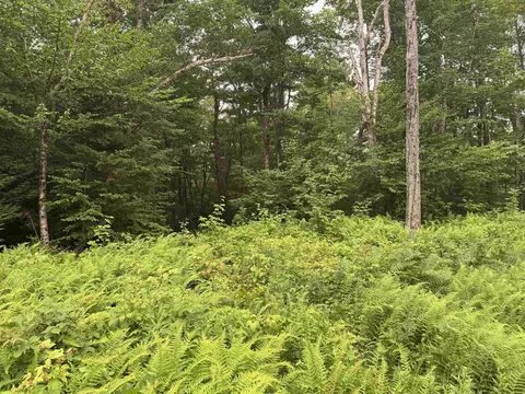 185 Valley View Rd, Dover, VT 05356 photo 6