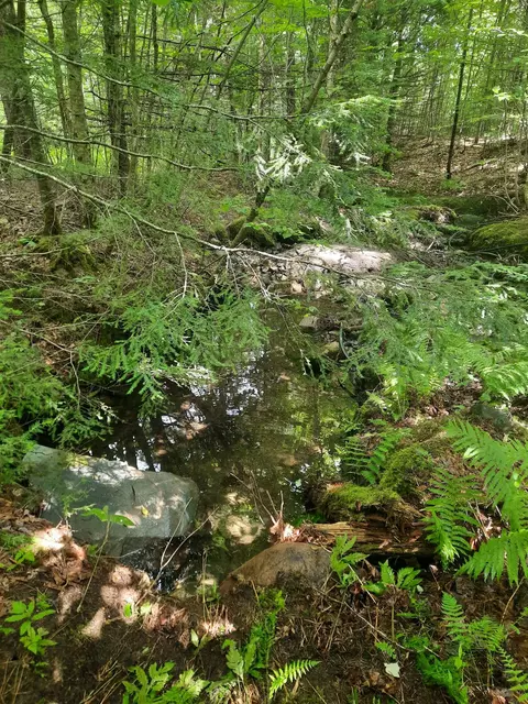 Other - 100 Mountain View Ln, Norton, VT 05907 photo 6 of 10